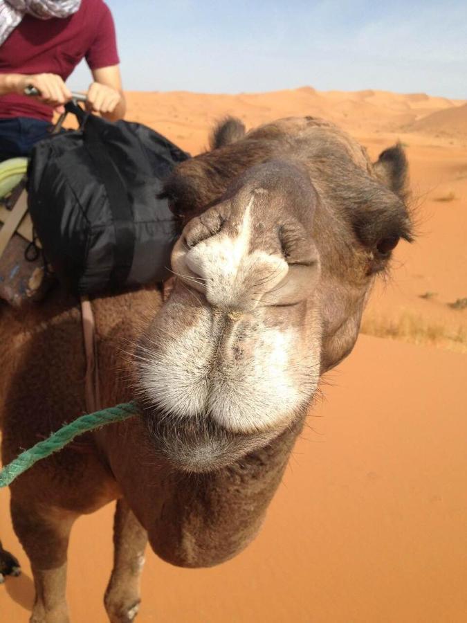 Desert Camel Trekking Camp Merzouga Bagian luar foto